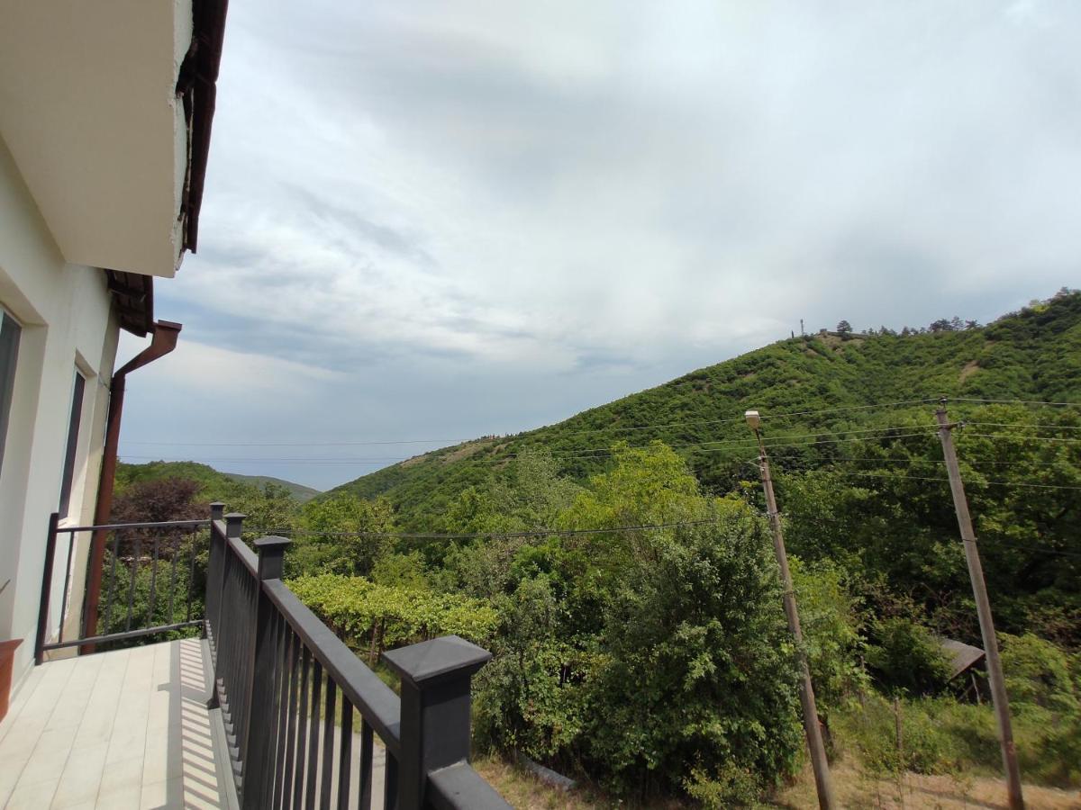The Nature Siğnaği Dış mekan fotoğraf