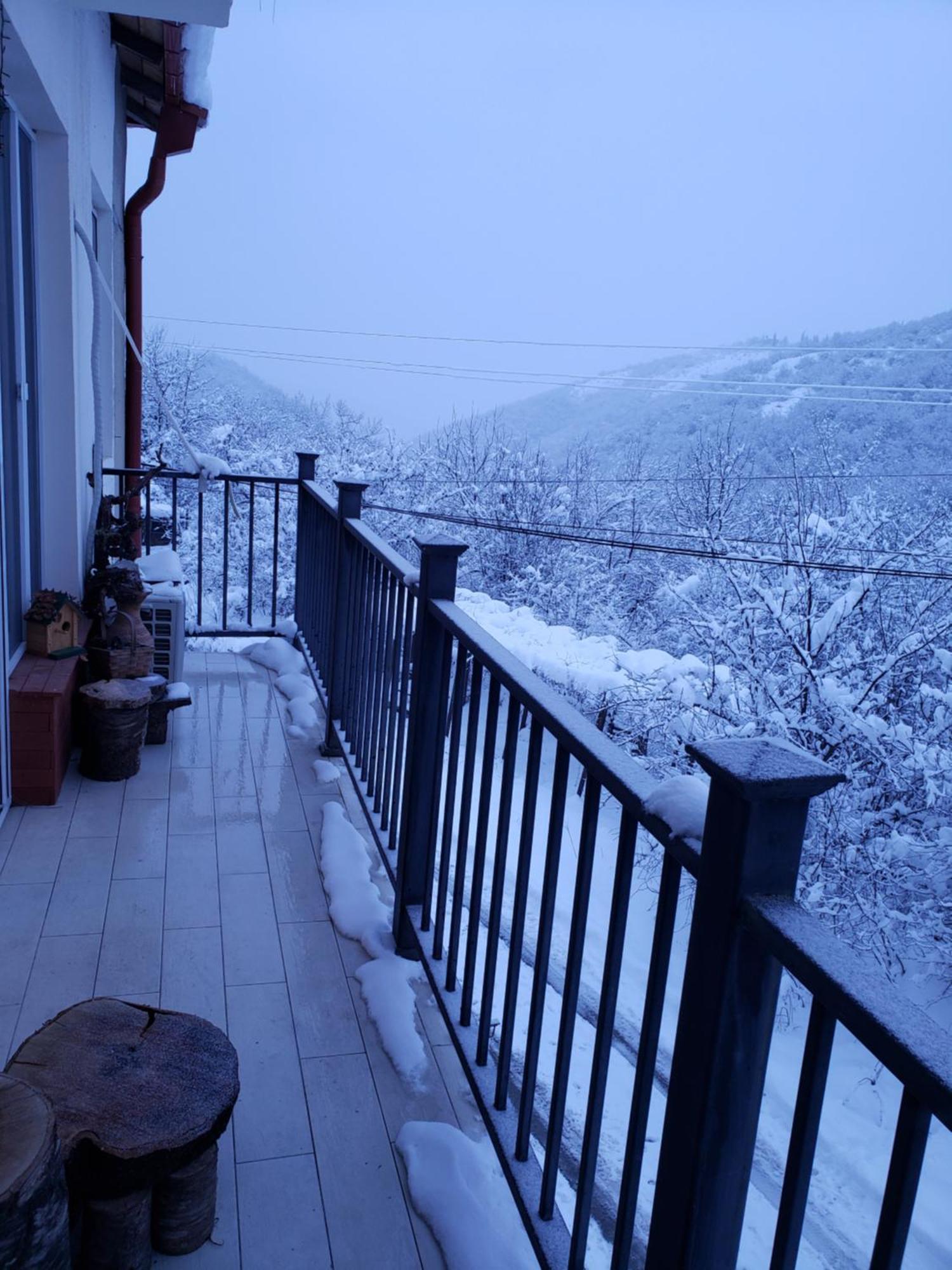 The Nature Siğnaği Dış mekan fotoğraf